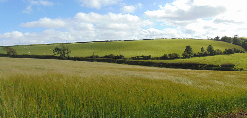 Lannear Farm, Polperro, Cornwall