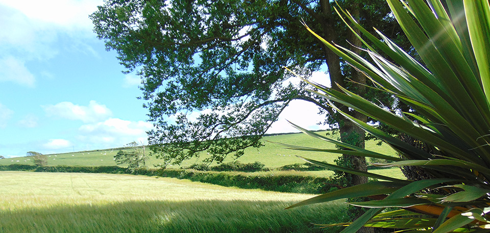 Lannear Farm Holidays, Polperro, Cornwall